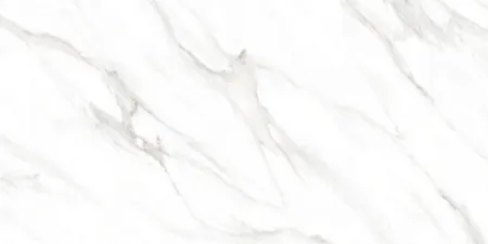 НФ-00099235