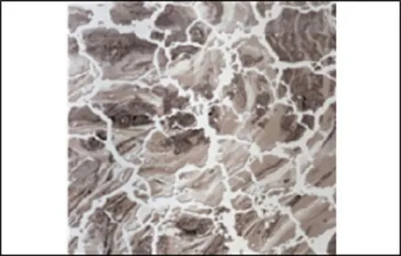 НФ-00100670