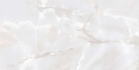 НФ-00101550