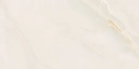 НФ-00093261