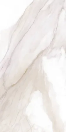 НФ-00102344