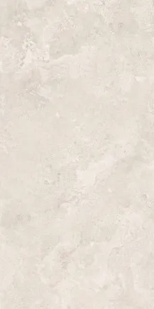 НФ-00099502