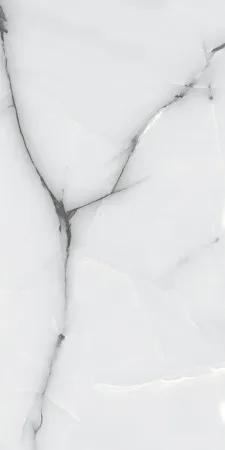 НФ-00095219