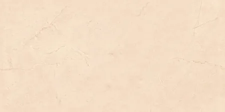 НФ-00093681