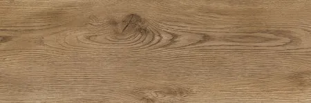 НФ-00101893