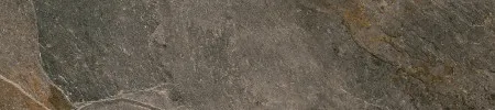 НФ-00093786