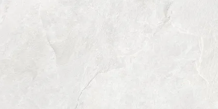 НФ-00101659