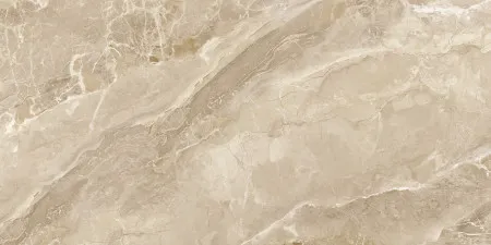 НФ-00094481