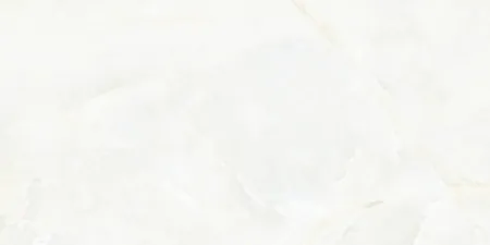 НФ-00099248
