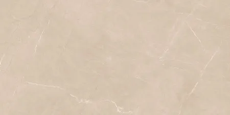 НФ-00094462