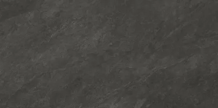 НФ-00101669