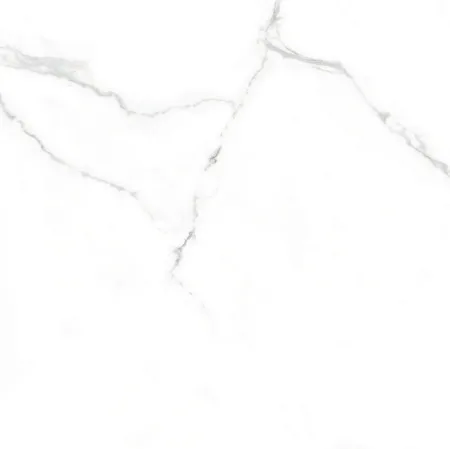 89233