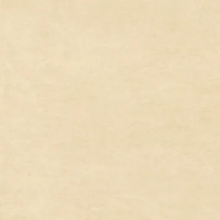 НФ-00095315
