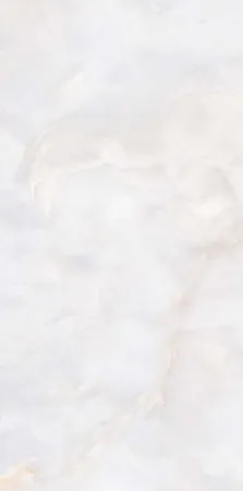 89294