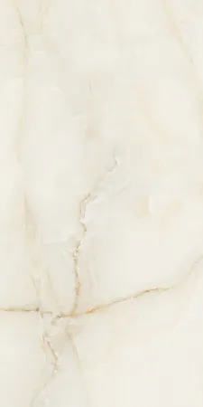 НФ-00095218