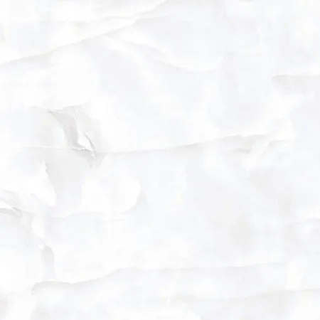 НФ-00095081