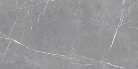 НФ-00099221