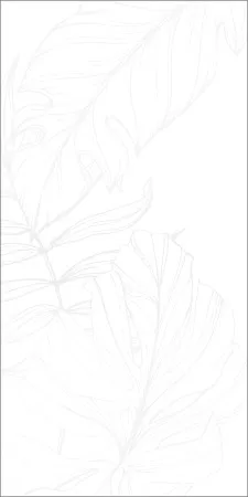 НФ-00095155