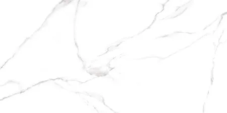 НФ-00095538