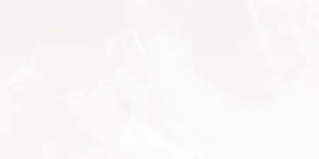 НФ-00093200