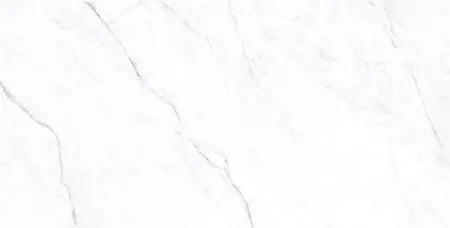 НФ-00101493