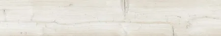 НФ-00100603