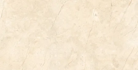 НФ-00101559