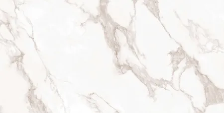 НФ-00101537