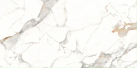 НФ-00095203