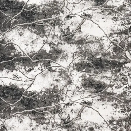 НФ-00100591