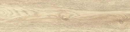НФ-00093823