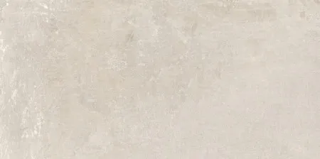 89231
