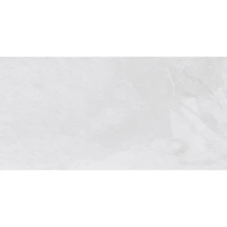 НФ-00099537