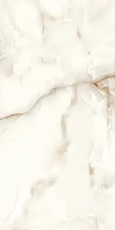 НФ-00095221