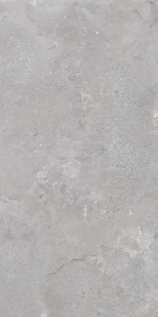 НФ-00099054