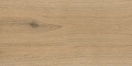 Керамогранит Форсса 30х60 натуральный (6260-0076) "LB" 2с