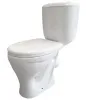 Унитаз-компакт Луна 1 кос.выпуск,1уров.армат.сиденье полипропилен (GESSO)
